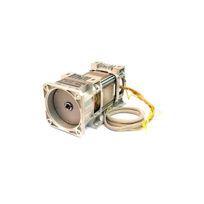 MOTOR 2P 11kW 400/690V 55/150 L/MIN MOTOR 2P 11kW 400/690V 55/150 L/MIN